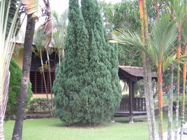 Bangunan6